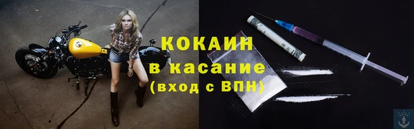 ALPHA PVP Елизово
