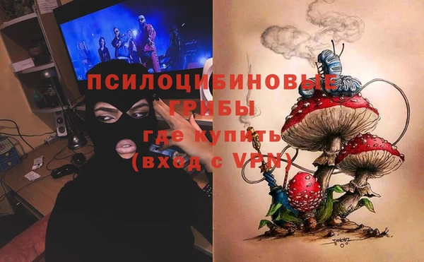 герыч Ельня