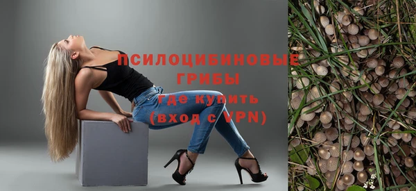герыч Ельня